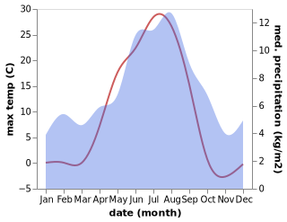 temperature and rainfall during the year in Bismoen