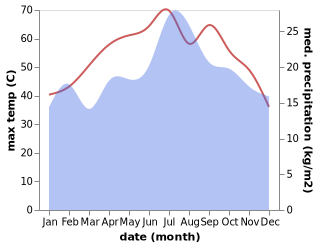 temperature and rainfall during the year in Izki