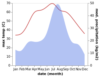 temperature and rainfall during the year in Jhatpat