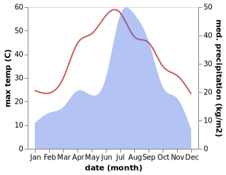 temperature and rainfall during the year in Topi