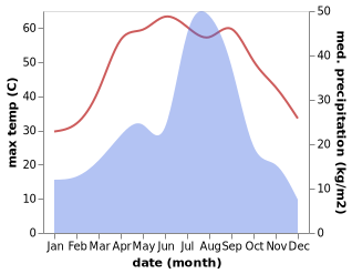 temperature and rainfall during the year in Pir Mahal