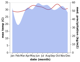 temperature and rainfall during the year in Ngchemiangel