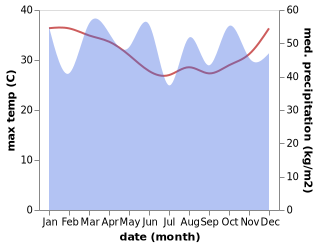 temperature and rainfall during the year in Samarai