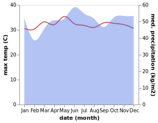 temperature and rainfall during the year in Languyan