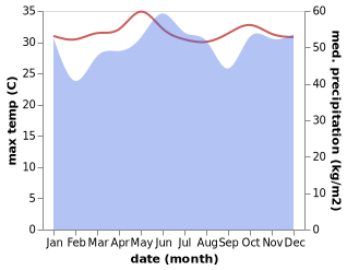 temperature and rainfall during the year in Ligayan