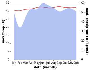 temperature and rainfall during the year in Limbo