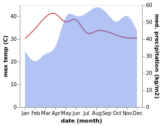 temperature and rainfall during the year in Basiad