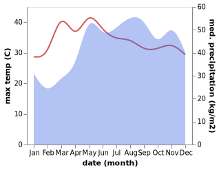 temperature and rainfall during the year in Bagombong