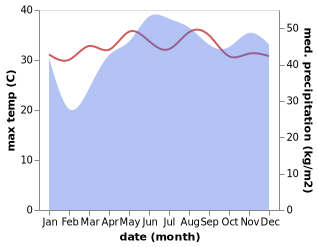 temperature and rainfall during the year in Bayugan