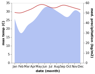 temperature and rainfall during the year in Mainit