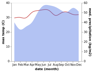 temperature and rainfall during the year in Consuelo