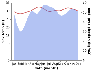 temperature and rainfall during the year in Jovellar