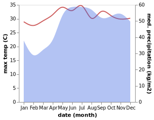 temperature and rainfall during the year in Araceli