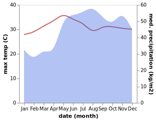 temperature and rainfall during the year in Cajidiocan