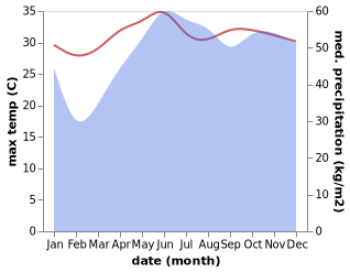 temperature and rainfall during the year in Panacan