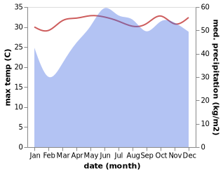 temperature and rainfall during the year in Rio Tuba