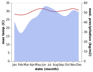 temperature and rainfall during the year in Balingoan