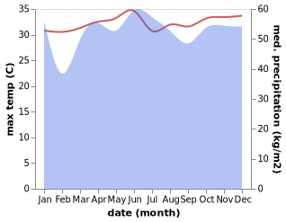 temperature and rainfall during the year in Palimbang