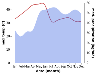 temperature and rainfall during the year in Alibunan