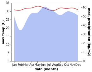 temperature and rainfall during the year in Binuatan