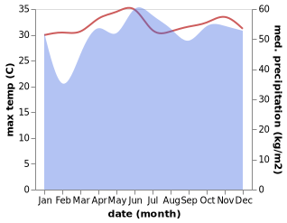 temperature and rainfall during the year in Buenavista