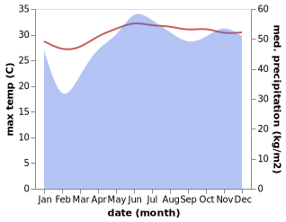 temperature and rainfall during the year in Disod