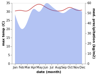 temperature and rainfall during the year in Sibuco