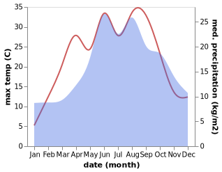 temperature and rainfall during the year in Bralin