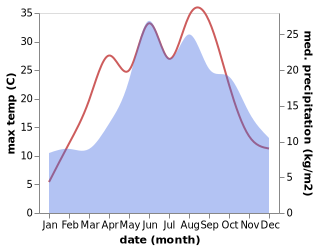 temperature and rainfall during the year in Brudzew