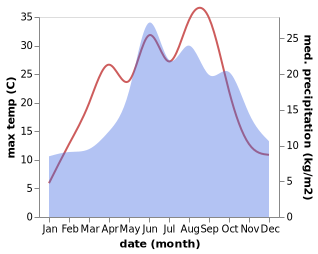 temperature and rainfall during the year in Czerniejewo