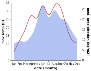 temperature and rainfall during the year in Przedecz