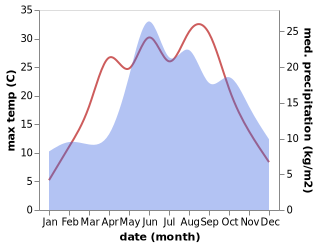 temperature and rainfall during the year in Brodnica