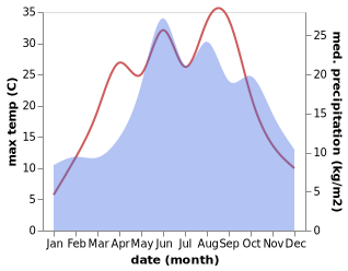 temperature and rainfall during the year in Ciechocin