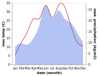 temperature and rainfall during the year in Dobrzyn nad Wisla