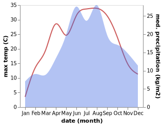 temperature and rainfall during the year in Palecznica