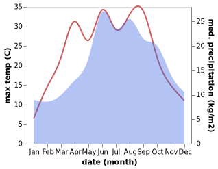 temperature and rainfall during the year in Chocianow