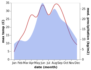 temperature and rainfall during the year in Brochow