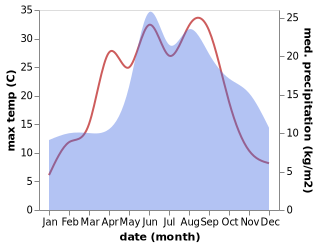 temperature and rainfall during the year in Bedzino