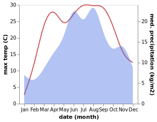 temperature and rainfall during the year in Baru