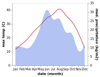 temperature and rainfall during the year in Blechepsin