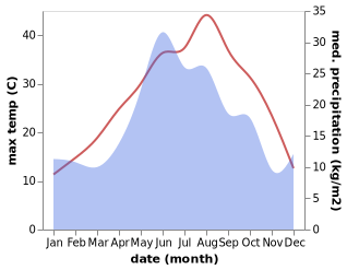 temperature and rainfall during the year in Novyy Ayryum