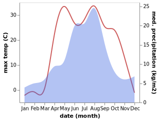 temperature and rainfall during the year in Chernitskiy