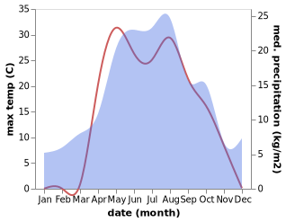 temperature and rainfall during the year in Nizhnetroitskiy