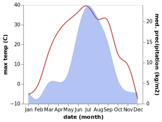 temperature and rainfall during the year in Bol'shoy Kunaley