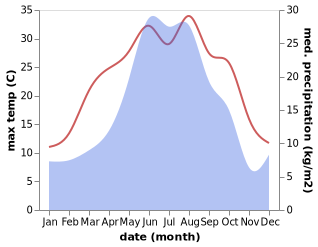temperature and rainfall during the year in Shaami-Yurt