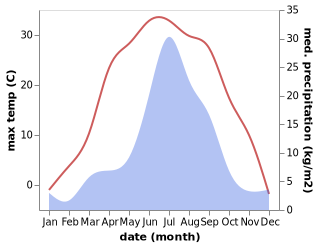 temperature and rainfall during the year in Bol'shaya Rechka