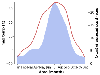 temperature and rainfall during the year in Vidim