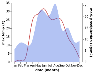 temperature and rainfall during the year in Novyye Gorki