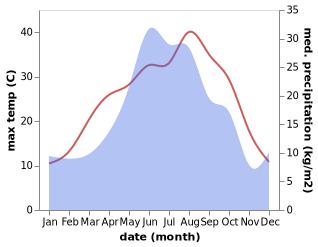 temperature and rainfall during the year in Kuba-Taba