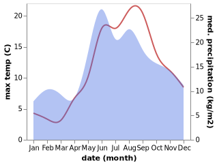 temperature and rainfall during the year in Gur'yevsk